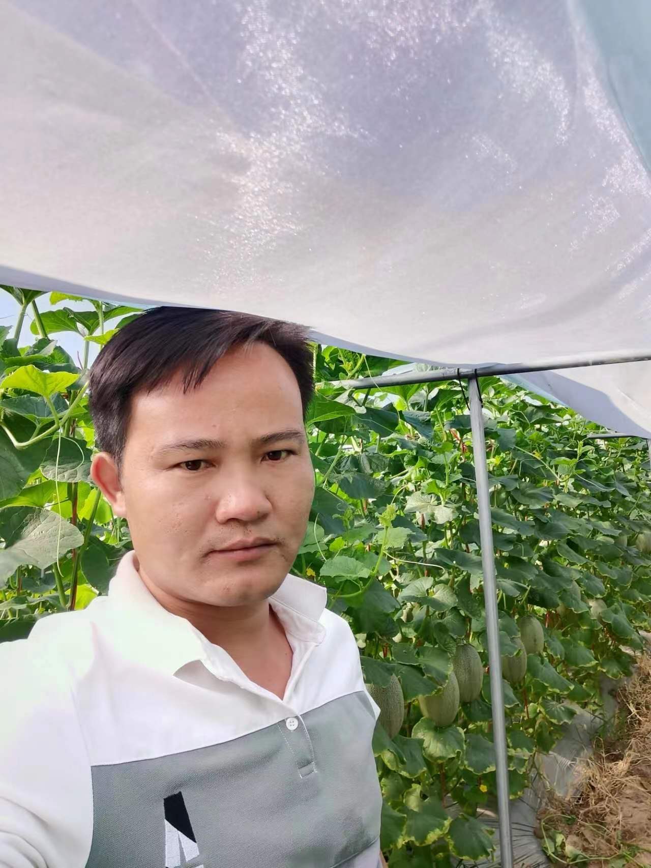 个人的形象照片